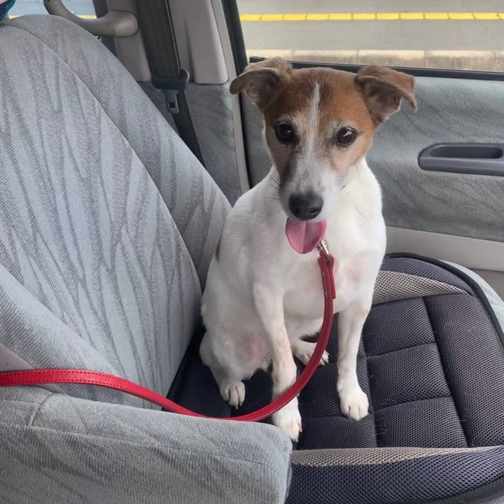 Aba92619 3adf 457a 975f 79401b689057 1561809647751