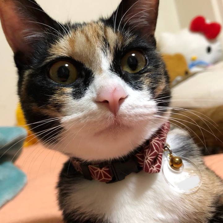 Aba92769 65b9 4289 91cf 7e7fb1e6223f 1554723343963