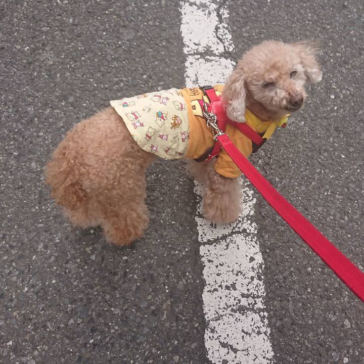 Aba9ce6f 365e 4525 8495 3fadefbe2ccb 1616225119862