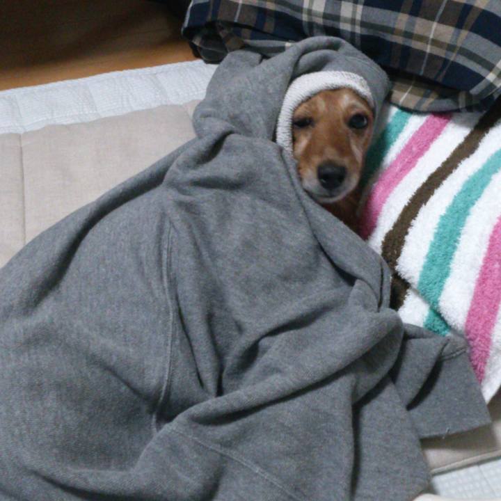 Aba9d743 35b5 451e 8098 c8a221040674 1560967591082