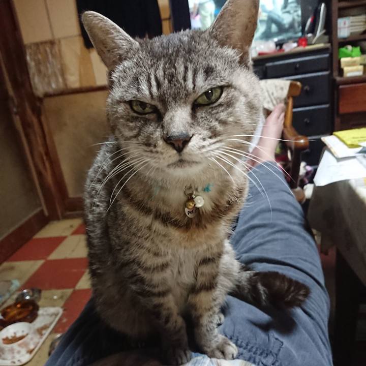 Abaa20d0 ae9b 4e31 a54c 55e08b828b3d 1572345068223