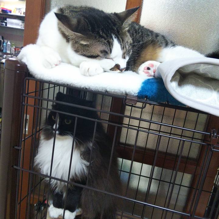 Abaa5f5a 0340 43f8 88fb b44b59553a4e 1665146769733