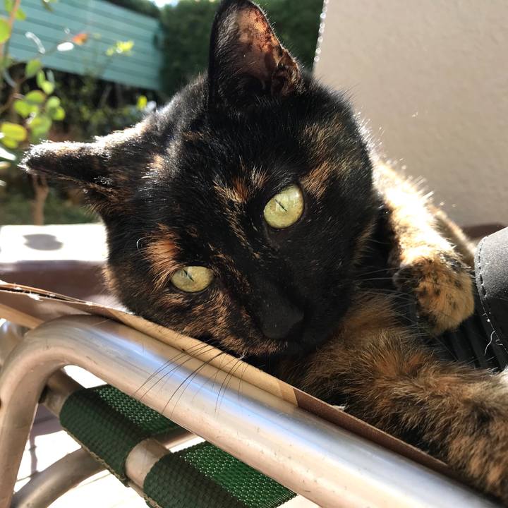 Abaa7b9d b80e 4aea 9d5d 73b7d4f978a8 1513128845315