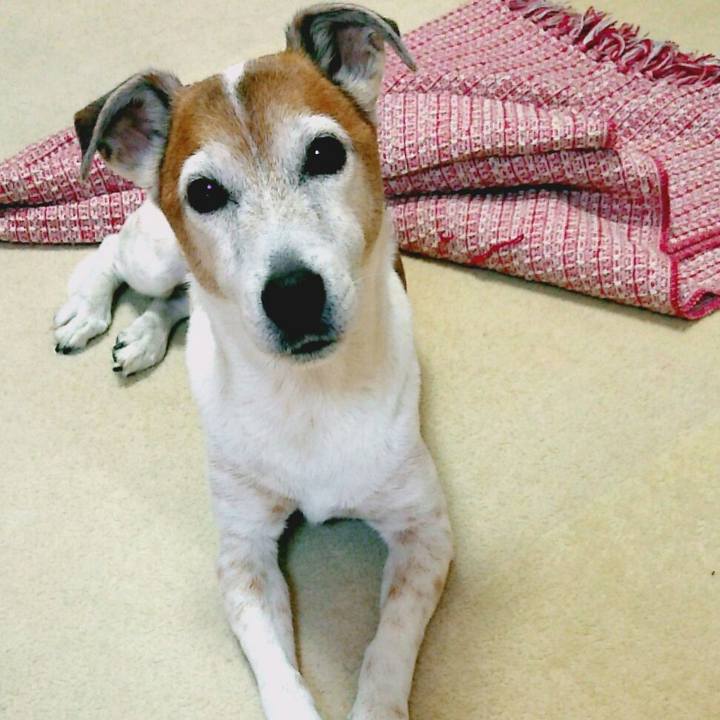 Abaa7d44 cb9c 4bec 8244 46f330d90026 1520058566287