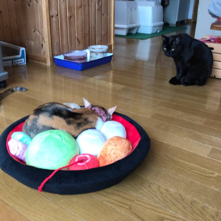 Abaa8e4c a39a 4730 b360 ded45e16ec31 1625527069898