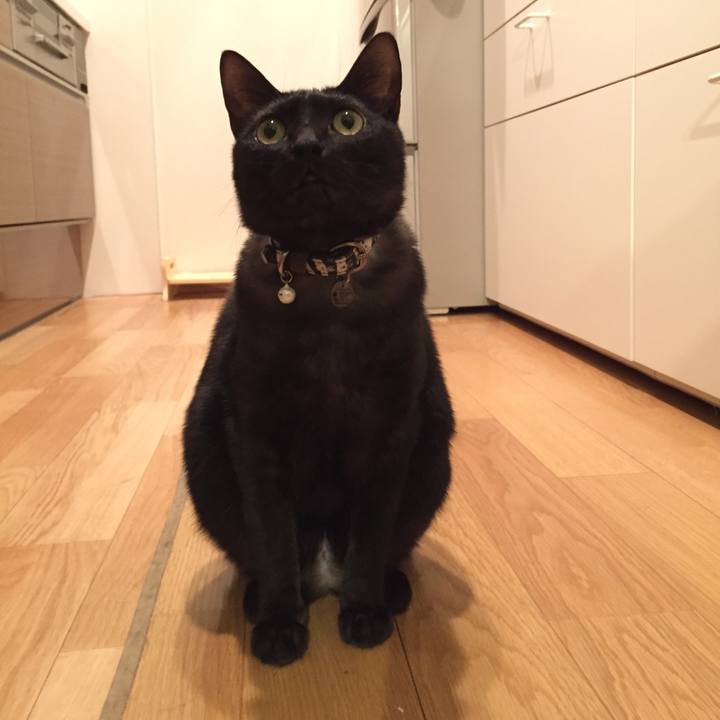 Abaaaa20 9bb0 4d9c 8e3a a0d12fdb1c06 1514193907816