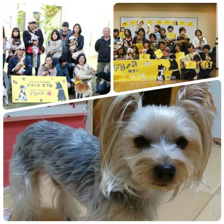 Abaaab99 6630 4154 810a b76539e917a9 1546119035306