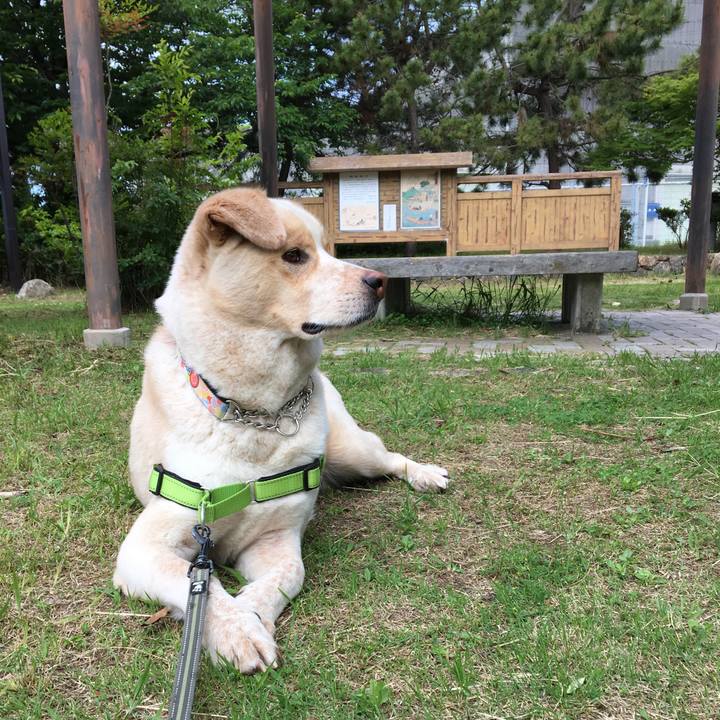 Abaaac6e fc25 4912 8f47 42caf84ff520 1526771084302