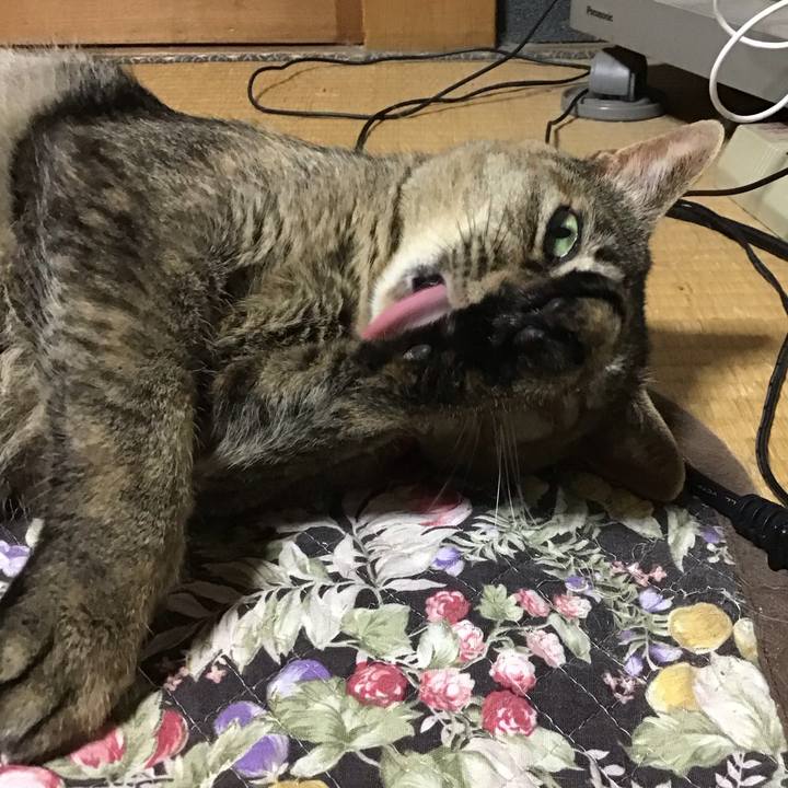 Abab1524 b803 4d6a bd59 f5472dbe638a 1684588862391