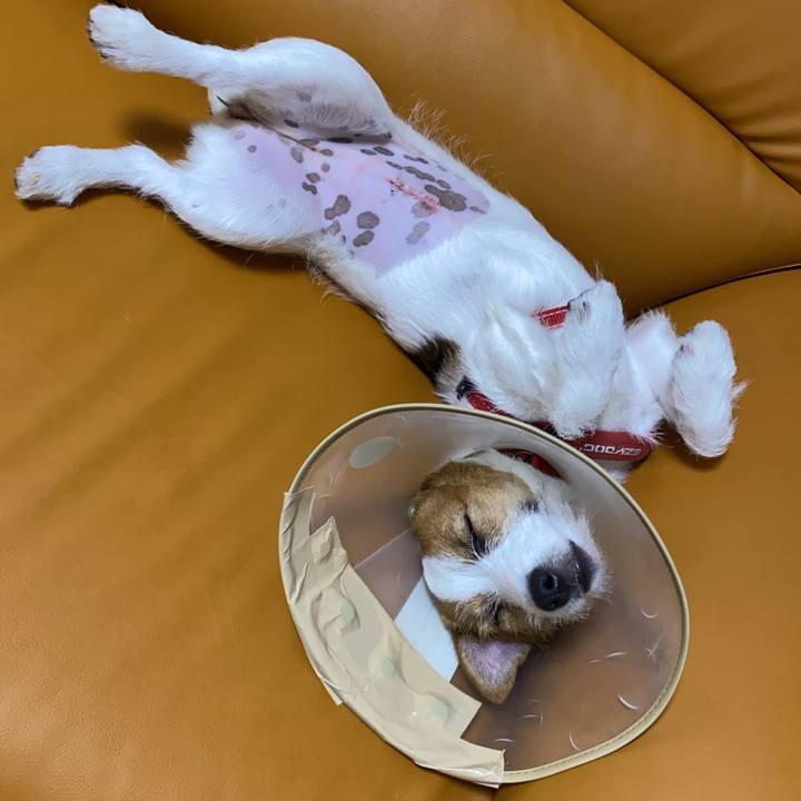 Abab152d 6f1b 45cf 88f3 ffc71fe6bb4d 1623070639048