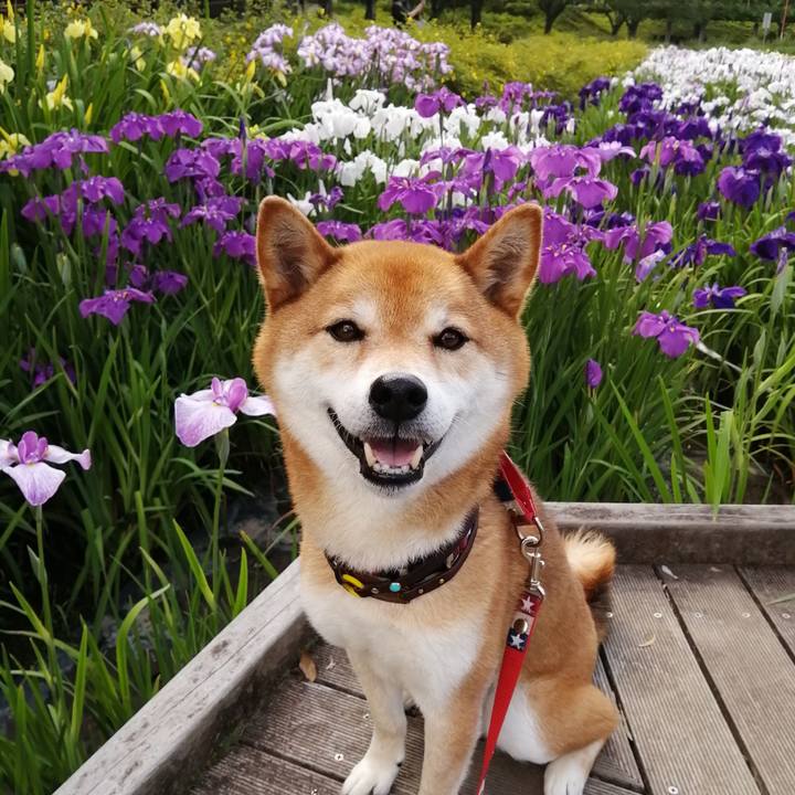 Abab330f 9131 41c9 803f 66505d4b99ab 1654768699036