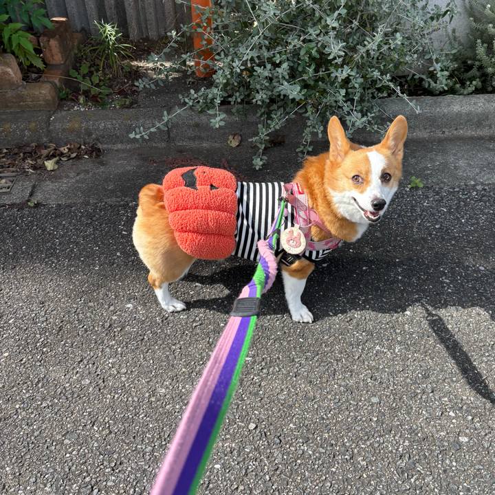 Abab3fb5 645e 4438 93f2 65509cce68e0 1761707704354