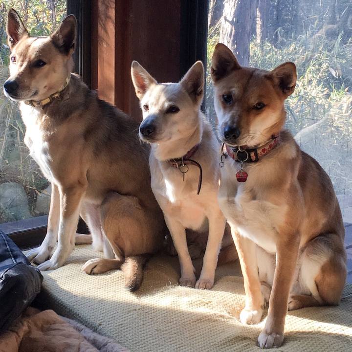 Abab87f7 2a38 4e34 a84d 0fce5bcd6f8c 1514956879486