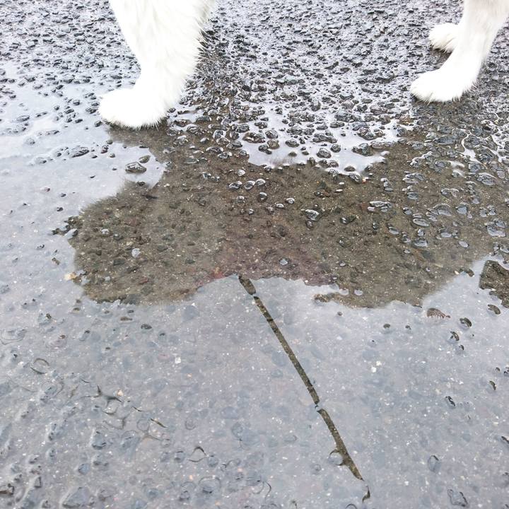 Ababed22 2b76 40df a98f b69c0b6aba79 1526248815657