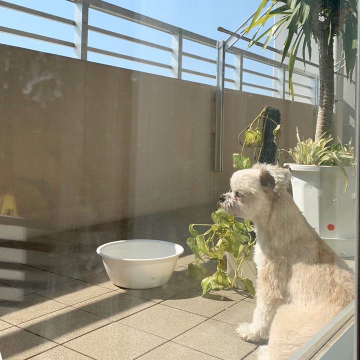 Abac176b 759c 4785 90f1 68e21d4858c6 1552787027364