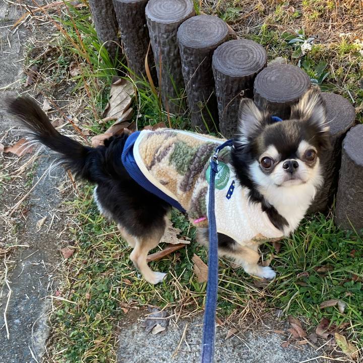 Abac37e2 6c14 4464 8b3f 9651f039549b 1673212894538