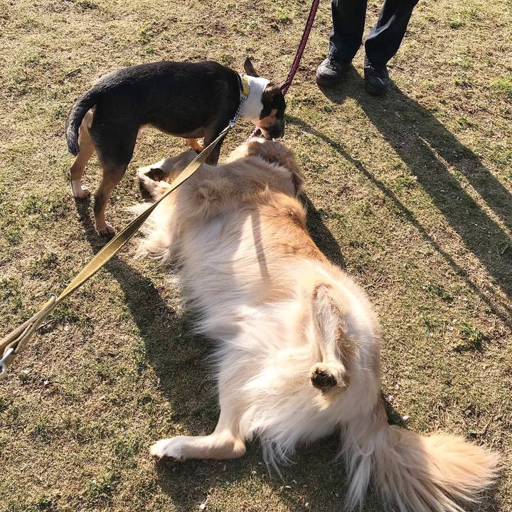 Abac5d8b e7b0 4f86 8e6c 0ac462c3a170 1523163227492