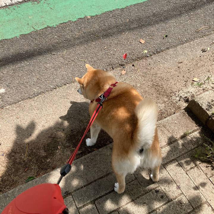 Abac6620 93a4 4cbf ae18 c98c00cf1161 1622946896985