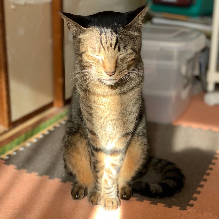 Abac7ca8 4ea3 4363 a200 4c1a03b8ee96 1542158726569