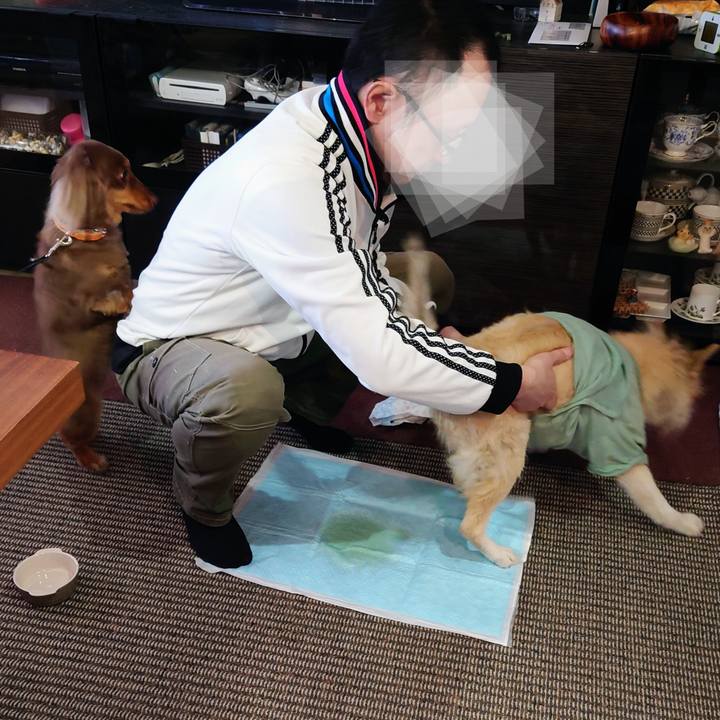 Abac8c89 fa5c 4728 8e16 a1f35c939766 1646031425624