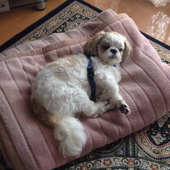 Abac9d8d 74fd 4a08 9684 76ef8feb1e83 1517176311942