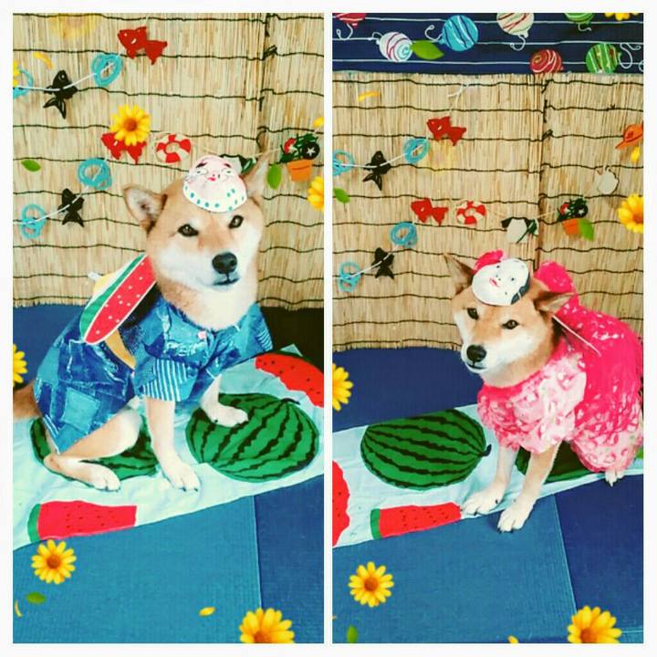 Abaca8db 036b 4006 8f07 0da428c108cf 1565953735848