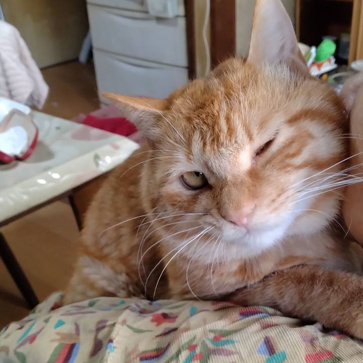 Abace1eb a372 4bac 8891 6955825439c1 1664064025900