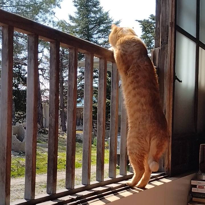 Abacff87 8ba7 4e44 b367 f30a30cb3487 1680078078072