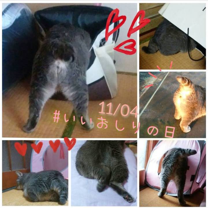 Abad1993 e7f6 4afd 886a bbcbb29d37b8 1699086630148