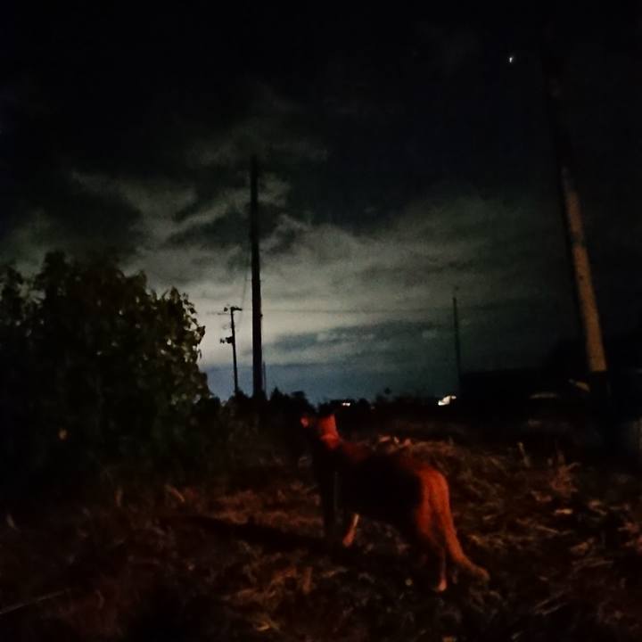 Abad3031 2f13 419d 9845 18ccfacaafe1 1600857312743