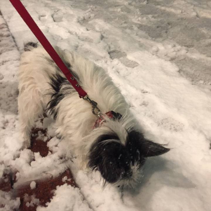 Abad360b e653 418f 9ad6 976fbc052026 1516628073065