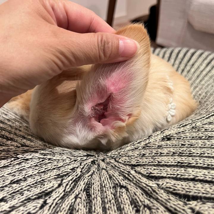 Abad4292 7086 4d69 b37a adcb91c1c114 1685099834412