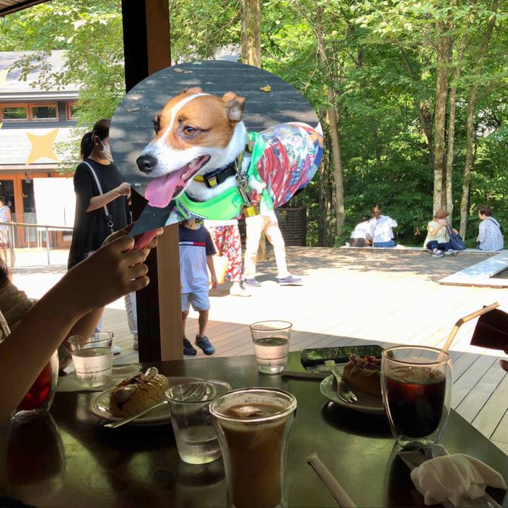 Abad42ac 84b1 421f 8099 3049971c2f2b 1597899808798