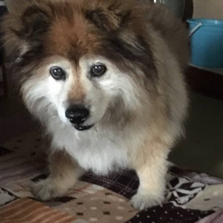 Abad53bd c56b 41f4 ad86 249b289ba072 1609851169745