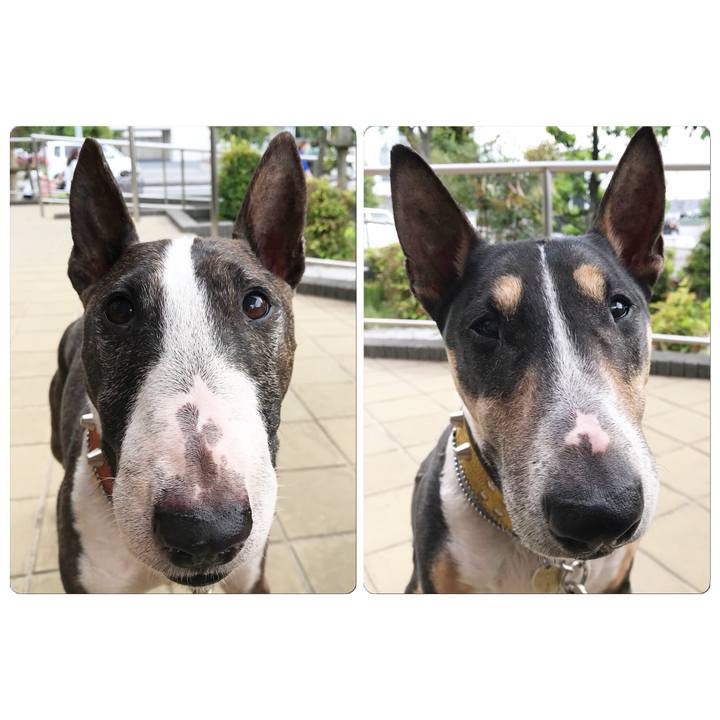 Abad5993 4f06 48eb b35a 7b4f3a138423 1525428649539