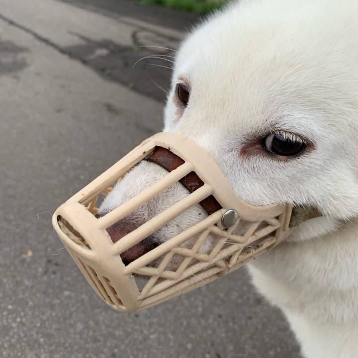 Abad5df0 d04e 4e52 9ed2 cfcdca209b83 1599252635814