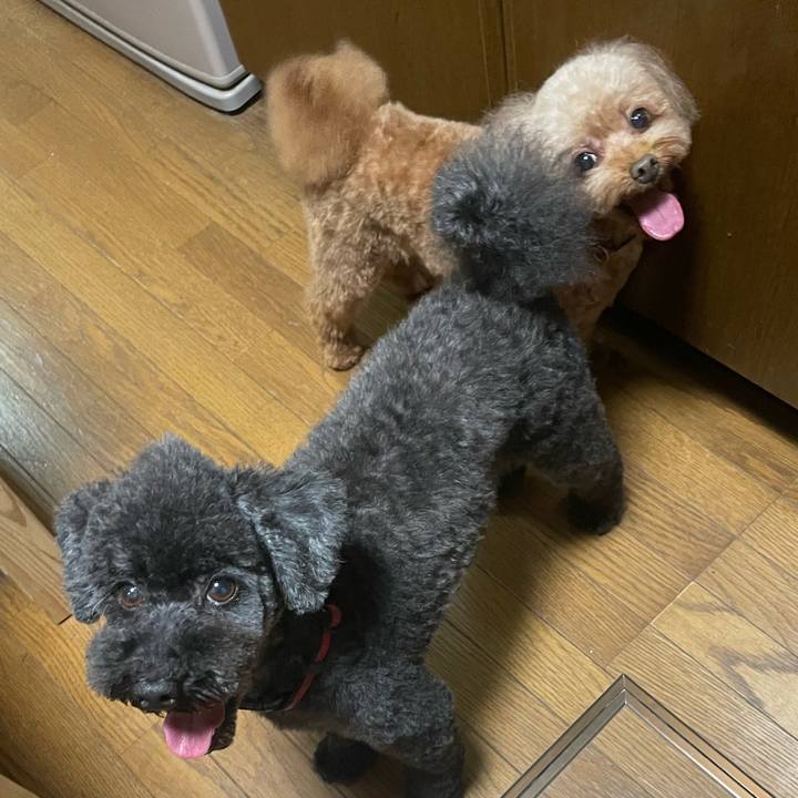 Abad643c 6203 488f 87d8 3a51304b1061 1719655501393