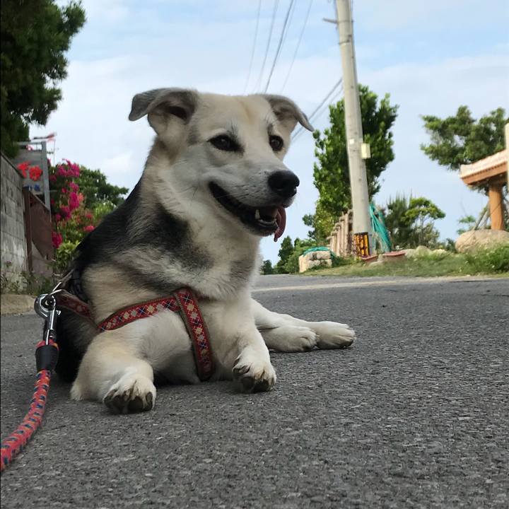 Abad6d8c 6ba5 4673 869d 4b9c0e155a3e 1524734000643