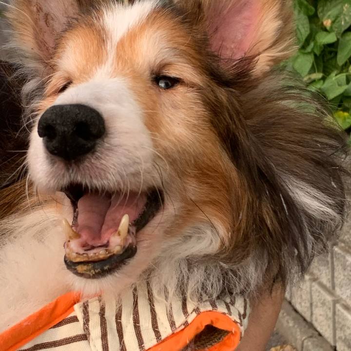 Abad7a08 94b6 4526 ac4d 6d160be27406 1663050189462