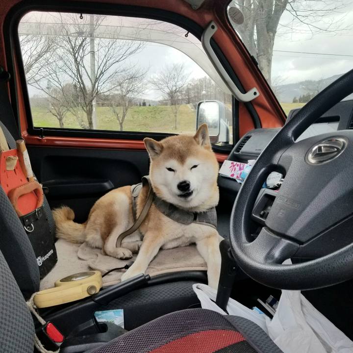 Abad8380 d4f8 4a30 98d7 275950b5f748 1679891474536