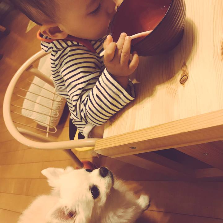 Abaddca6 126d 45bb 982d 0166d2ca4b48 1541365181581