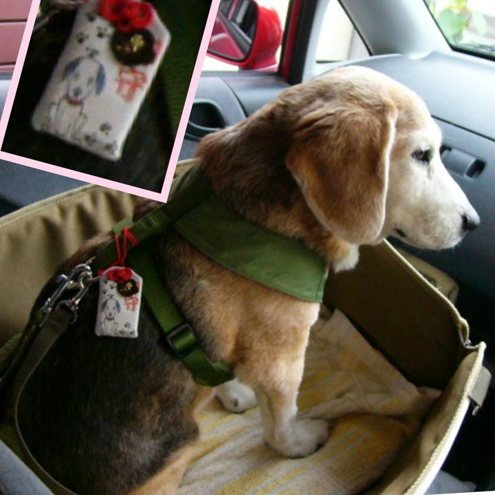 Abade7bc 6a57 46a8 b295 e5e62e714d91 1683336365152