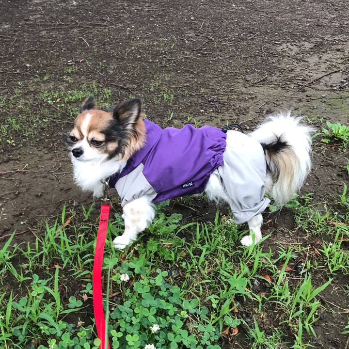 Abadffd8 886a 4d9f b6cd a74dee8a900b 1561962314395