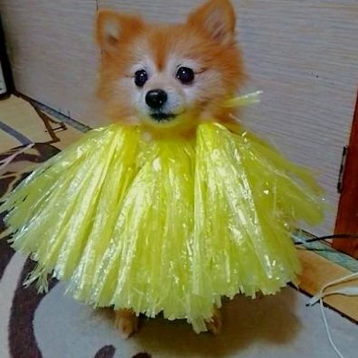 Abae3885 88e0 47c3 8e1b e2a7ef016d6f 1510823059508