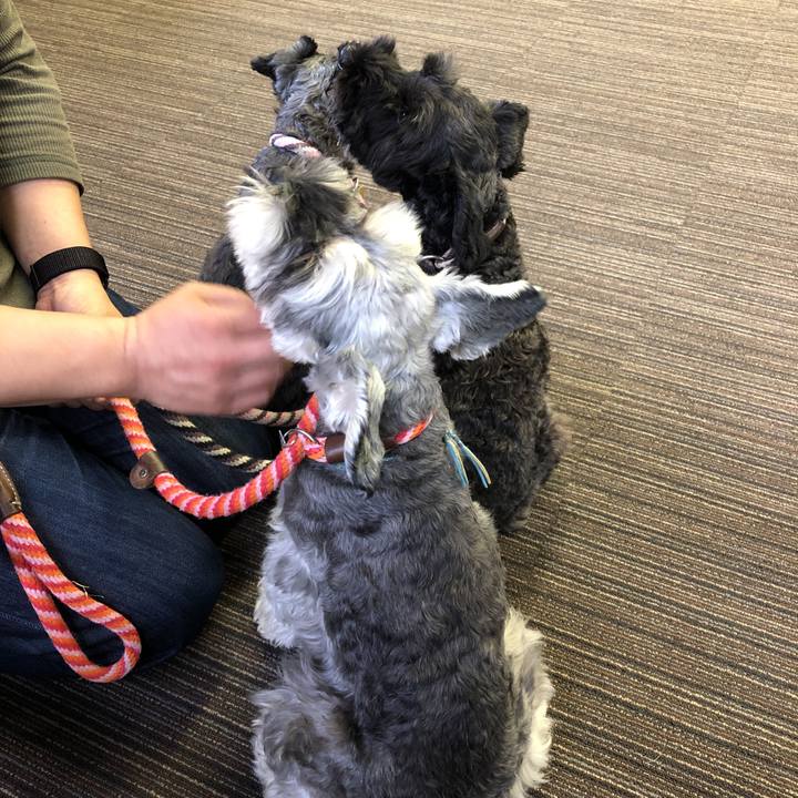 Abae3ac1 f087 475e 8c16 8c55ee2634b4 1572072239816