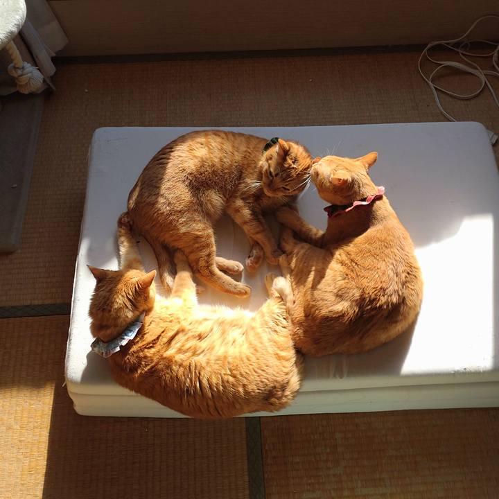 Abae3fbd 5b01 43d5 921a 4e1dc221e0dd 1638673717873