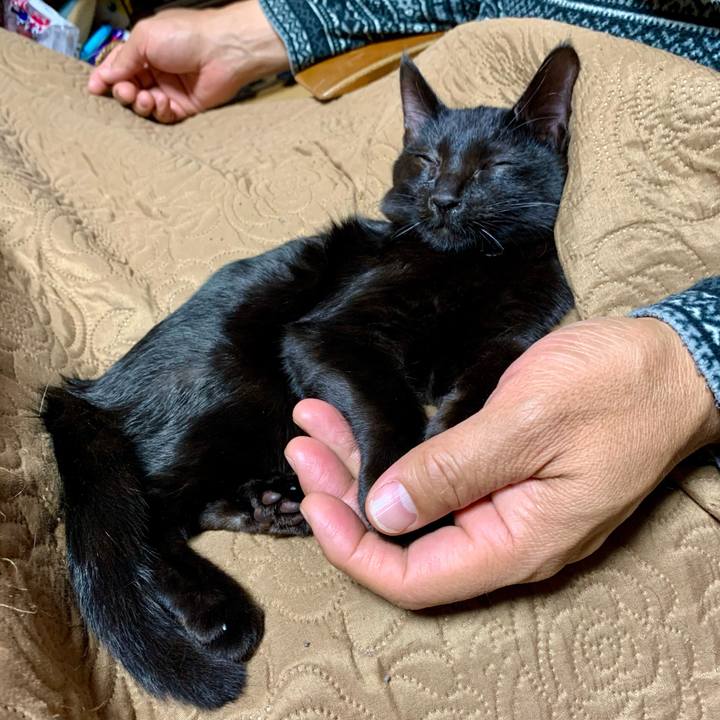 Abae4055 371f 459d aedf 3ee841b4fdb9 1643025423128