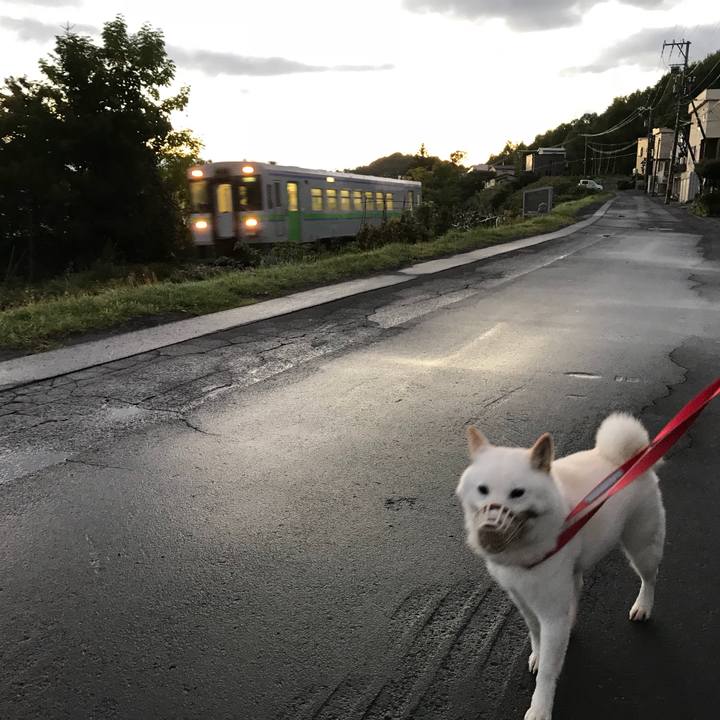 Abae4b26 9915 4a06 865e 319a07d2f9ca 1537669202415