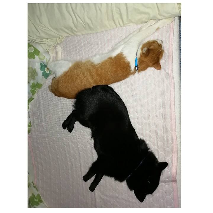 Abae6481 60c4 41d6 a752 1a0776d4fa98 1592344684290