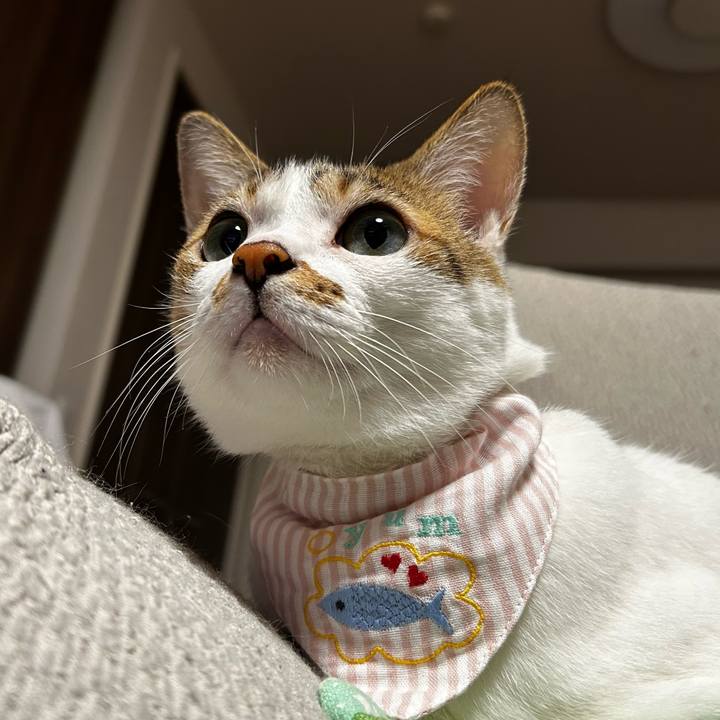 Abae9dcc 7392 4d83 be2e 47ba3e04c828 1759359085267